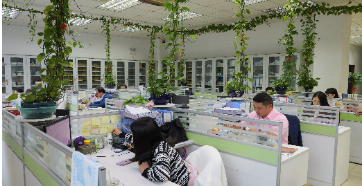 Shenzhen Operations Team